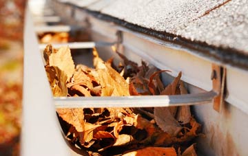 Shocklach Green gutter cleaning companies