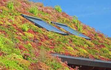 Shocklach Green living roof systems